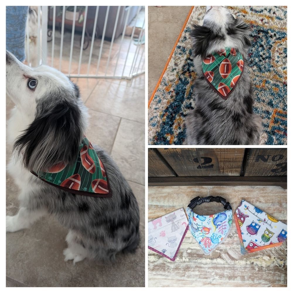 Hand Crafted Over the Collar Pet/Dog Bandana Set of 3, Size XS